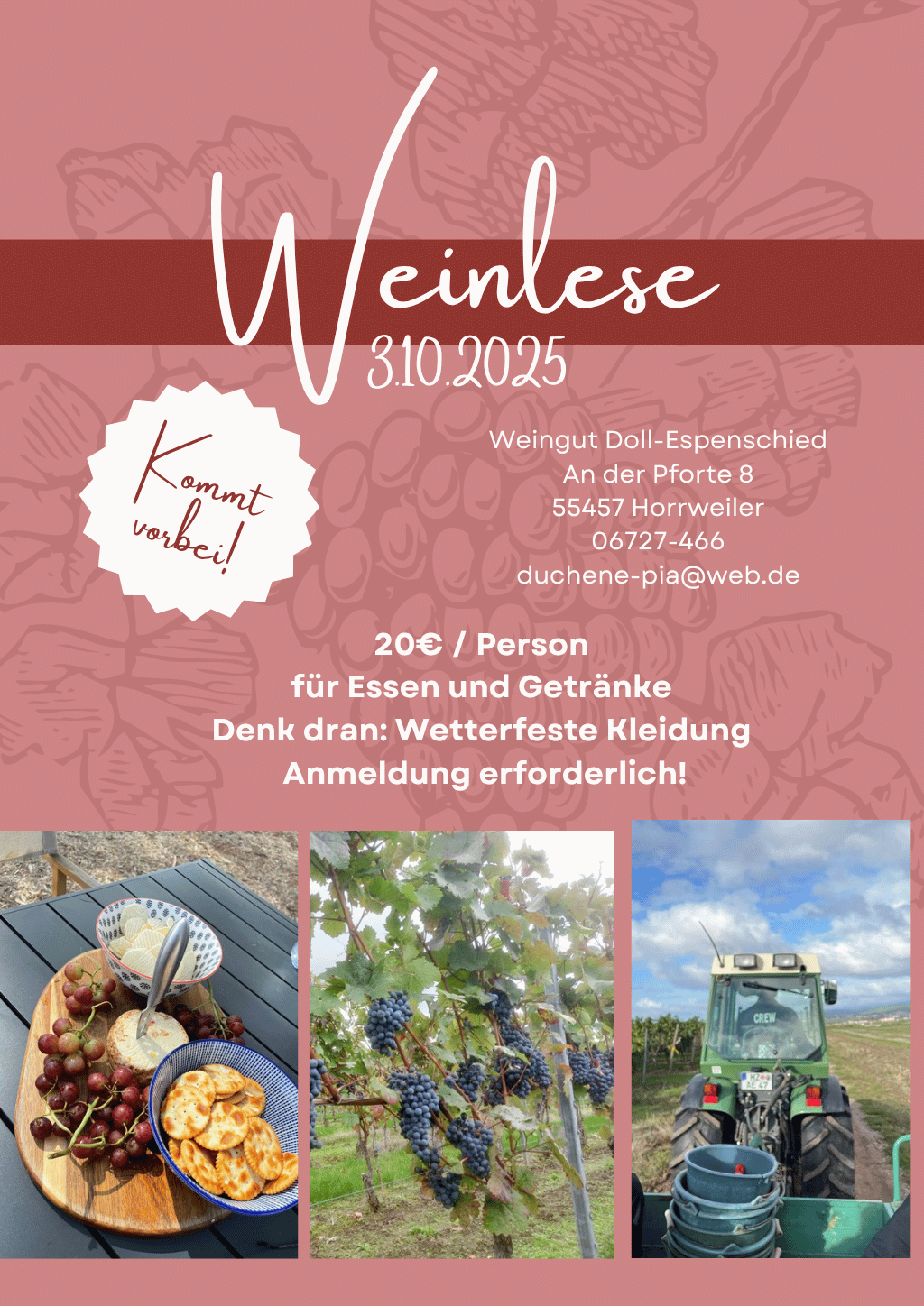 Weinlese Event